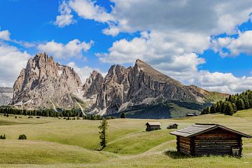Alpe di Siusi, Dolomites by Dirk Rüter