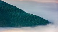 Blick vom Stegastein, weit über den Wolken von Henk Meijer Photography Miniaturansicht