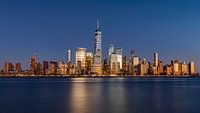 New York Panorama Silver by Adelheid Smitt thumbnail