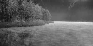 Schwansee