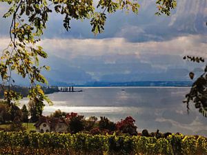 Le lac de Constance en automne 1.0 ART