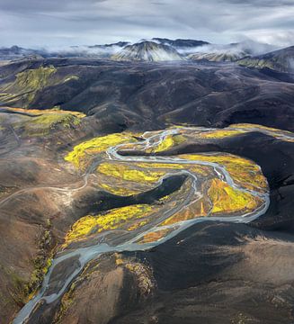 Een rivier in Iceland van Niels Tichelaar