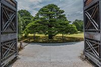 Zugang zum Nijo nihon teien