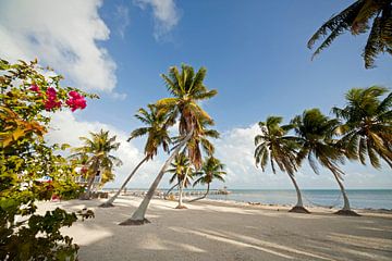 Florida Keys USA van Peter Schickert