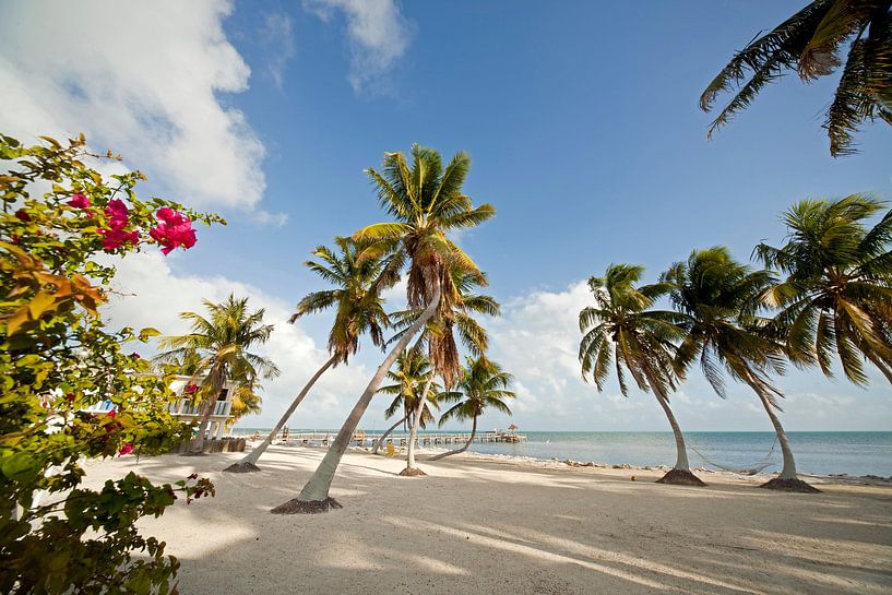 Florida Keys USA by Peter Schickert
