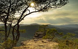 Der Buchkammerfelsen im Pfälzerwald