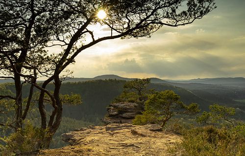 Le Buchkammerfelsen dans la forêt du Palatinat