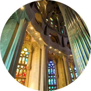 Sagrada Familia, Barcelona van Johan van Venrooy