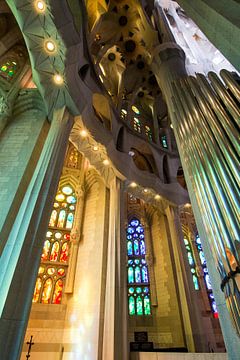 Sagrada Familia, Barcelona van Johan van Venrooy