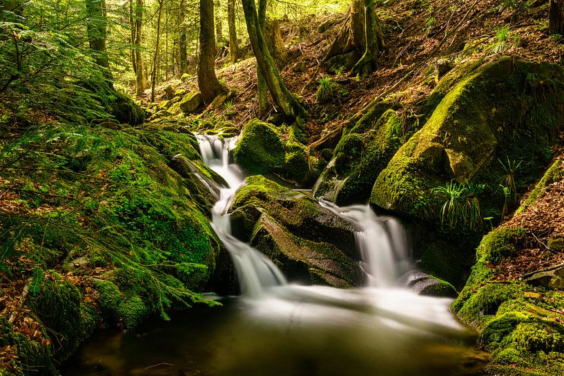 Little stream in the Black Forest by Photo Art Thomas Klee