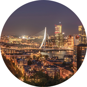 Stadsbeeld van Rotterdam bij nacht van de Euromast met de Erasmusbrug op de achtergrond van Gea Gaetani d'Aragona