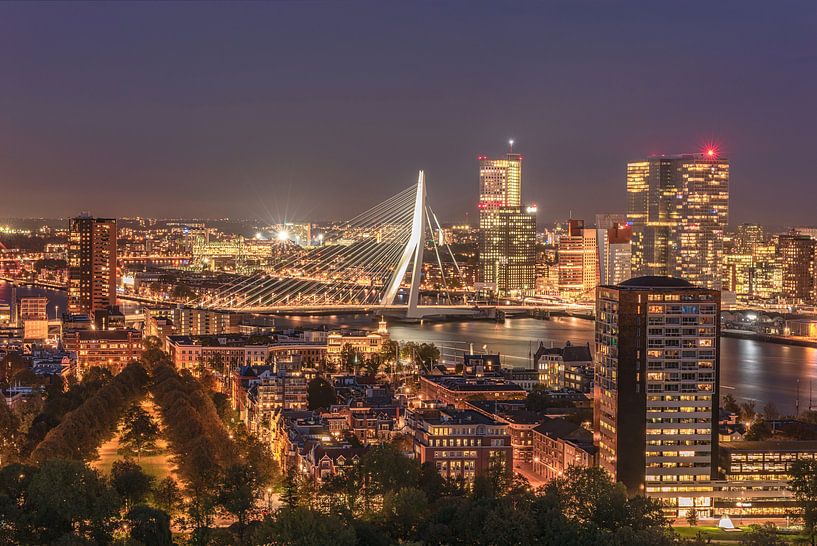 Rotterdam-Stadtbild bis zum Nacht vom Euromast mit der Erasmus-Brücke im Hintergrund von Gea Gaetani d'Aragona