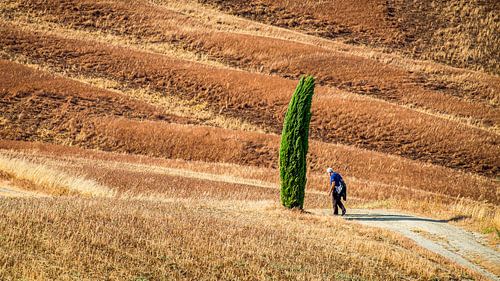 Wandelaar bij San Quirico d'Orcia, Val d'Orcia, Toscane, Italië.
