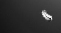 Light As A Feather