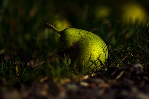 Vitaminen voor de herfst