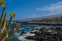 Der Blick auf die „Playa de San Telmo“ mit kleinen Felsenbecken in Puerto de la Cruz