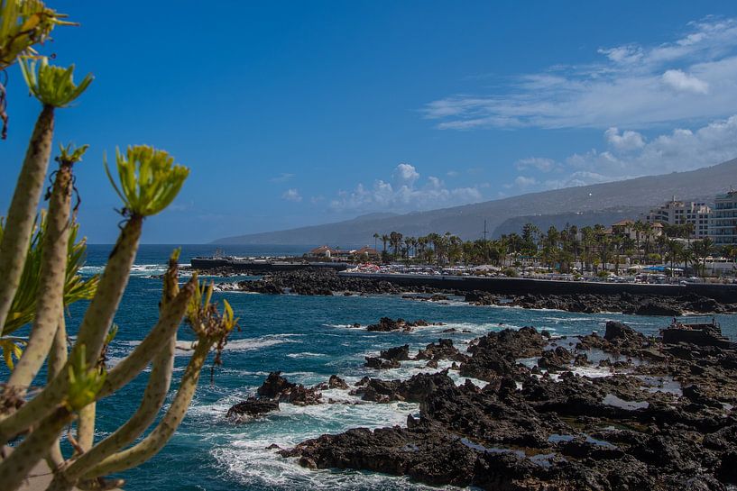 La vue sur la "Playa de San Telmo" avec ses petits bassins rocheux à Puerto de la Cruz par David Esser