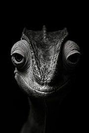 Lizard by Poster Art Shop