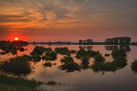 Ooijpolder