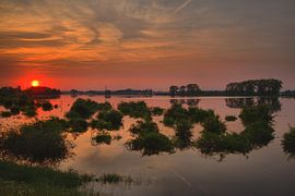 Ooijpolder
