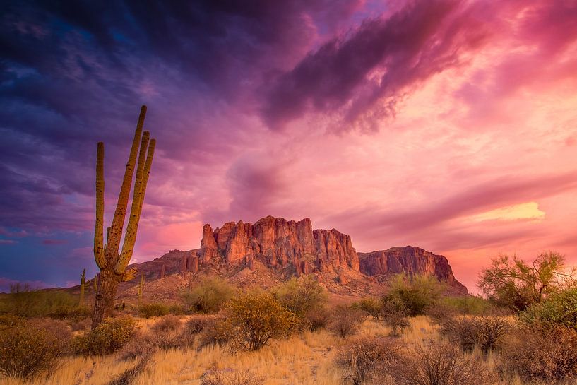 Zonsondergang met Saguero cactus van Antwan Janssen