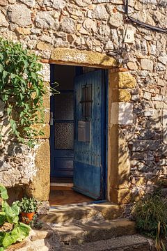 The Blue Door ... by Andrea Pijl - Pictures