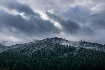 Dramatischer Himmel über schneebedeckten Bäumen des schwarzen Waldes natürliche Landschaft von adventure-photos
