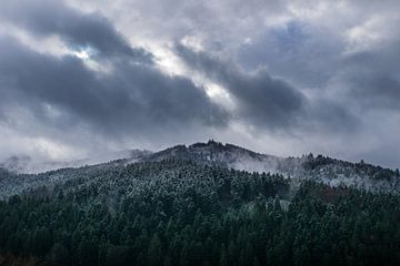 Dramatische lucht over besneeuwde bomen van zwart bos natuurlijk landschap van adventure-photos