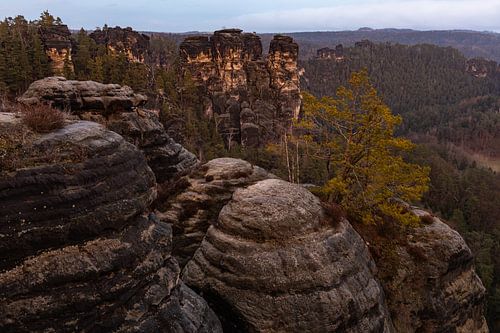 Rocher de l'Elbsandsteingebirge au lever du soleil