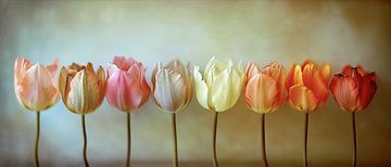 Panorama de tulipes sur Dakota Wall Art