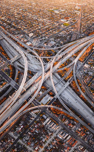 Los Angeles by Hello Pompoyo
