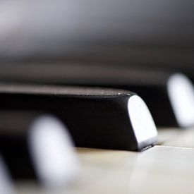 The Piano van Peter Bosch