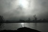 Rivier in de mist