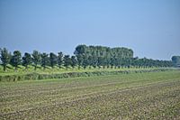 Blick auf das Haarlemmermeer Geniedijk