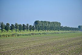View of the Geniedijk Haarlemmermeer by Corinne Kalisvaart