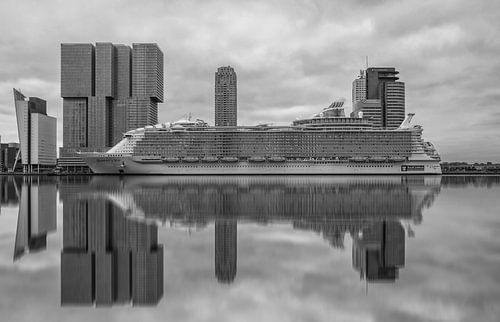 Harmony of the seas aan de Wilhelminapier in Rotterdam