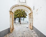 View through Faro | Algarve, Portugal | Travel Photo by Expeditie Aardbol thumbnail