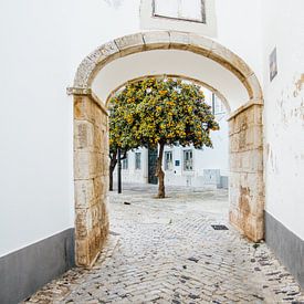 Doorkijkje in Faro | Algarve, Portugal | Reisfoto van Expeditie Aardbol