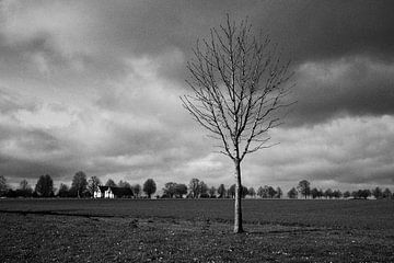 De eenzaamheid van de overlevende van Momentaufnahme | Marius Ahlers