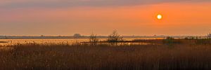 Panorama-Sonnenuntergang am Zuidlaardermeer