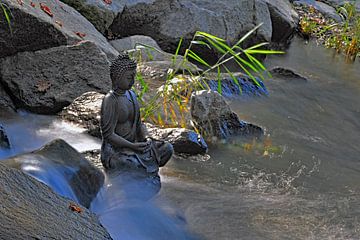 Buddha am Fluss 1.1 von Ingo Laue