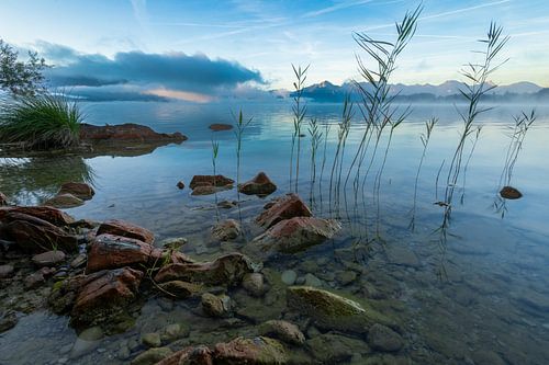 Morgenstille am Forggensee