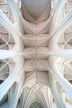 Plafond van Abbaye de Scourmont (Chimay) van Robben