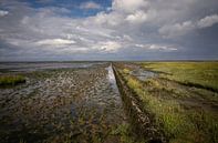 Rijsdam in the salt marshes of Groningen by Bo Scheeringa Photography thumbnail
