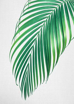 Feuille de palmier sur Gal Design