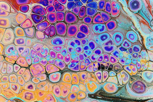 The colourful liquid mosaic