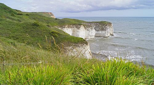 Flamborough Cliffs