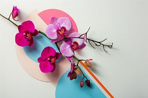 Orchideen