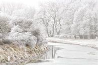 Winterwonderland van Bob Bleeker thumbnail