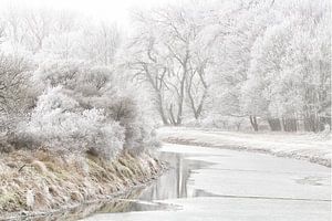 Winterwonderland